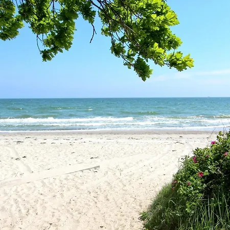 Apartment Strandnahe Mit Balkon, Gratis Nutzung Vom Ahoi Erlebnisbad Und Sauna In Sellin - Rex Rugia 14-5 Lobbe